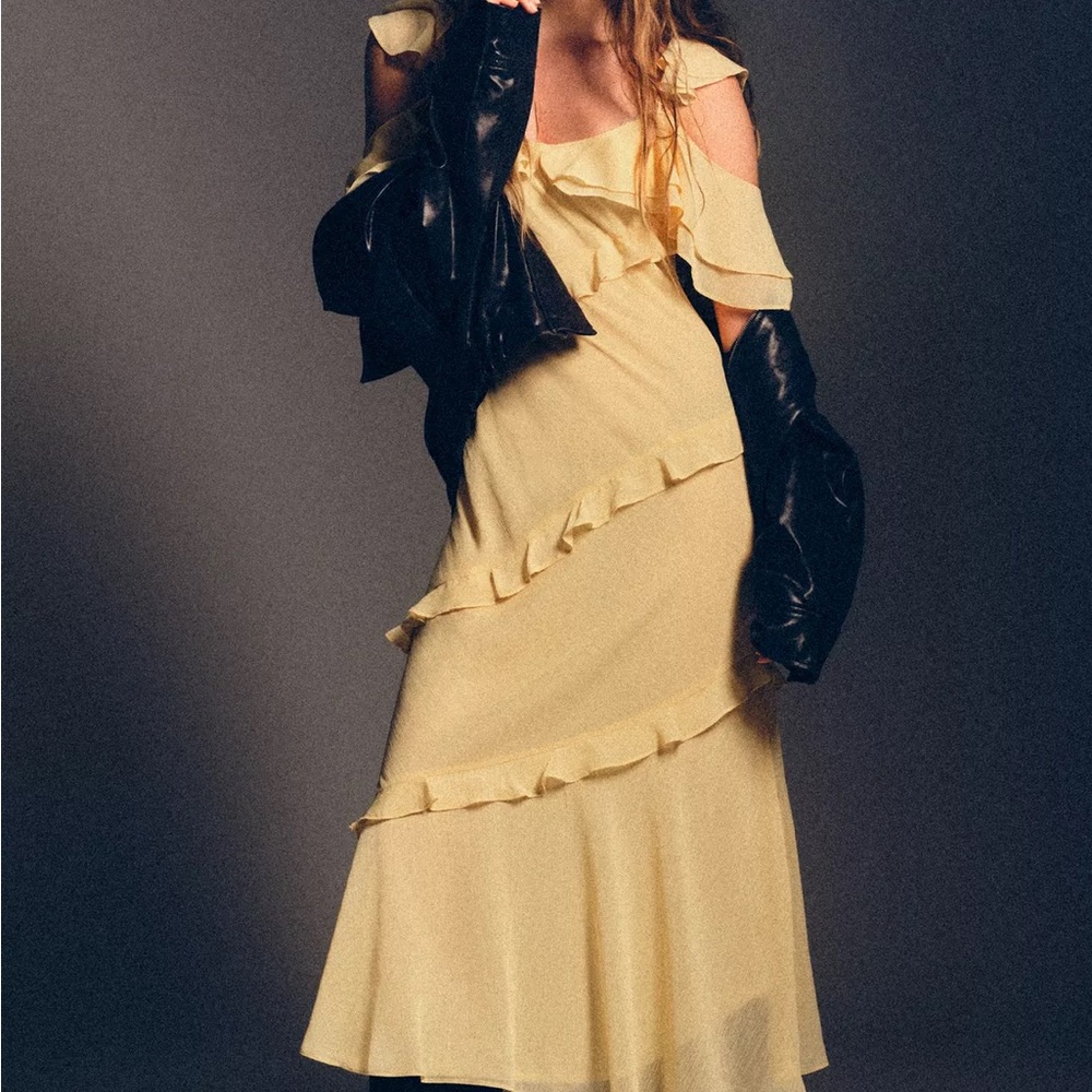 NWT ZARA Dress